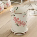 Cherry Blossoms