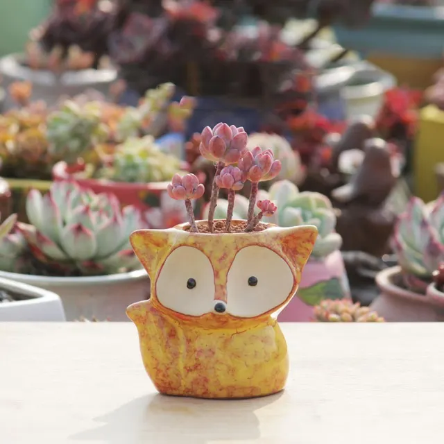 Creative Thumb Pot Fox Cartoon Ceramic Flower Pot Succulent Plant Pot Stoneware Breathable Pottery Basin Garden Decoration 1Style - Shop at LoveMi