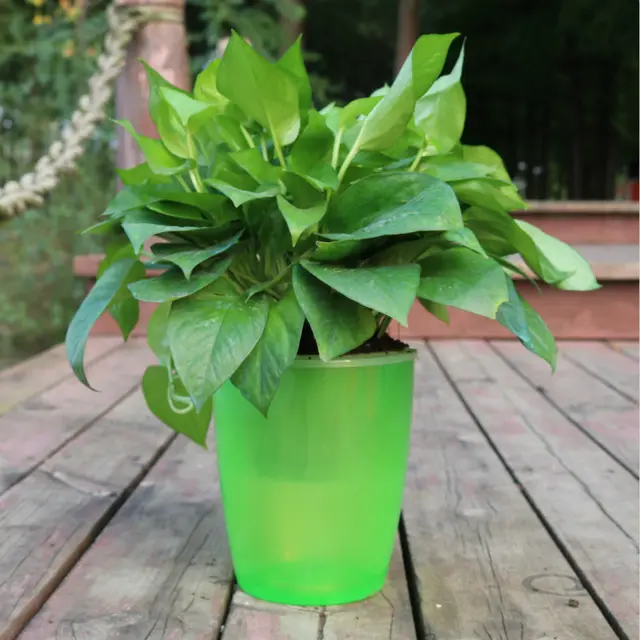 Strongwell Nordic Hydroponics Flower Pot Fairy Garden Green - Shop at LoveMi