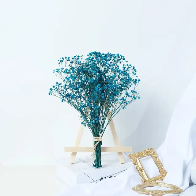 Gypsophila Dried Flower Bouquet Air dried Real Flower Living Room Decoration Blue - Shop at LoveMi