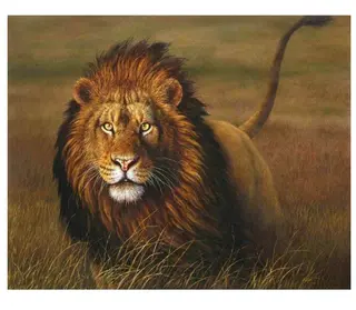 A Proud Lion - DIY Painting By Numbers Kit - Bronze