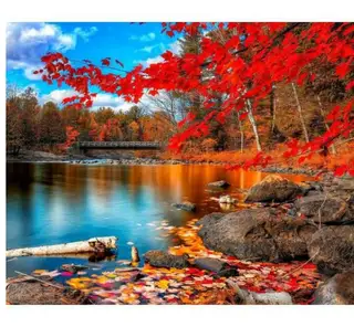 A Season Of Fall - DIY Painting By Numbers Kit - Red