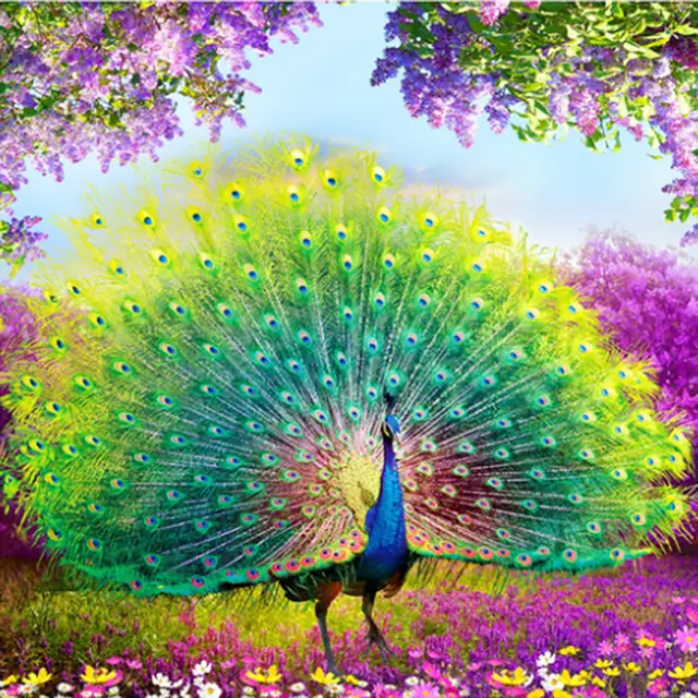 Peacock Diamond Painting, Fully Embroidered, Square Or Round, For Home Decoration, DIY Round 50X50Cm - Shop at LoveMi