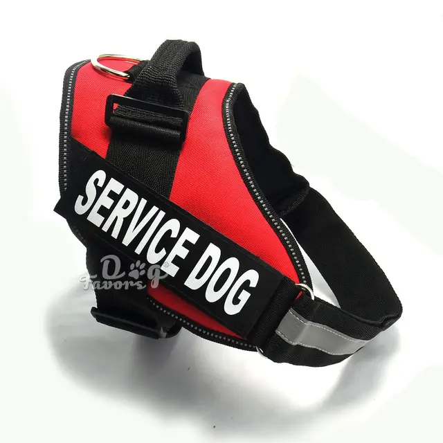 DogDogDogDogDogDogDogDog Blue - Shop at LoveMi
