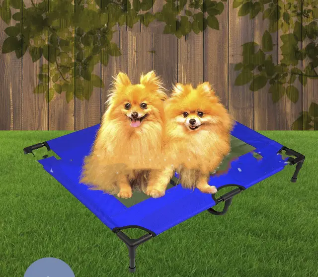 Pet Supplies Cat Litter Dog Cage Pet Trampoline Folding Portable Camping Bed Blue - Shop at LoveMi