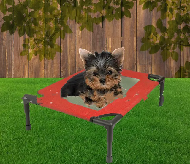 Pet Supplies Cat Litter Dog Cage Pet Trampoline Folding Portable Camping Bed Red - Shop at LoveMi
