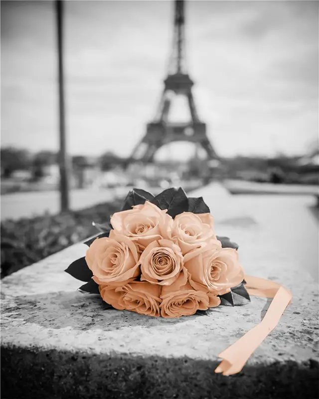 Digital Painting Of Paris Love Scene Eiffel Tower - Shop at LoveMi
