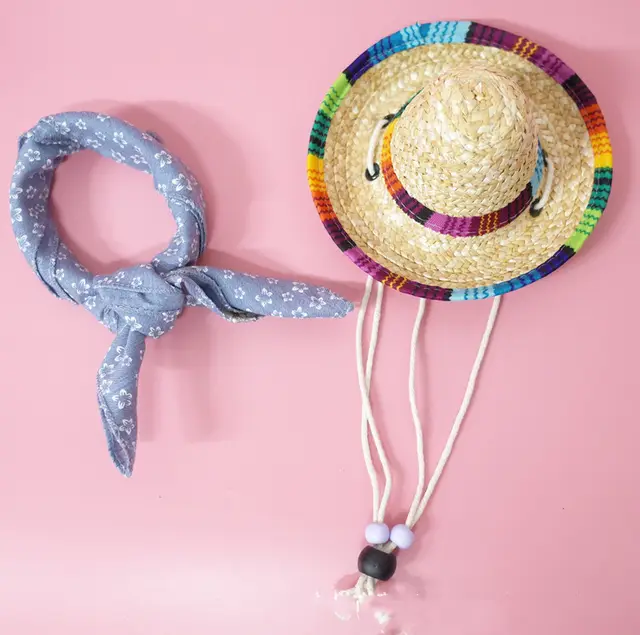 Pet Accessories Summer Outing Set B - Shop at LoveMi