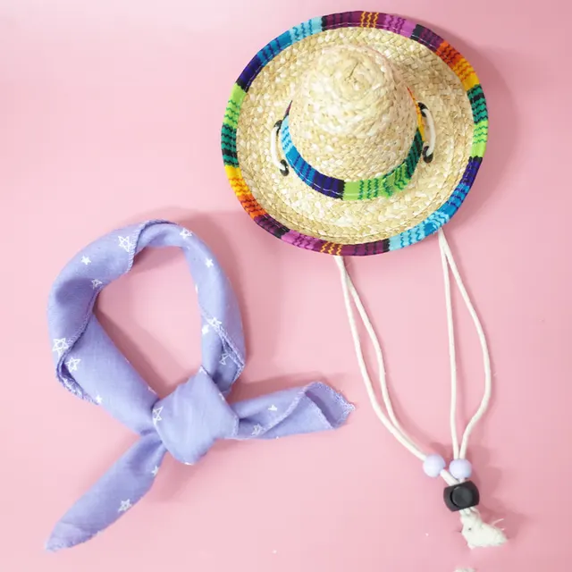 Pet Accessories Summer Outing Set I - Shop at LoveMi