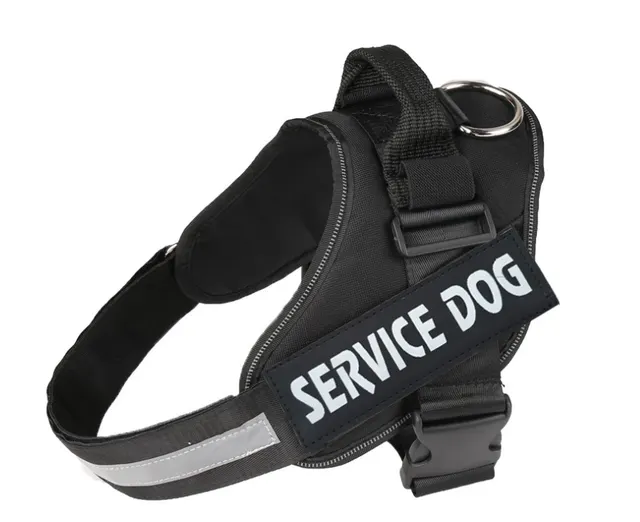 Pet chest strap with dog leash Black - Shop at LoveMi