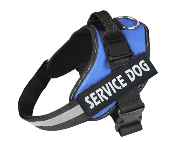 Pet chest strap with dog leash Blue - Shop at LoveMi