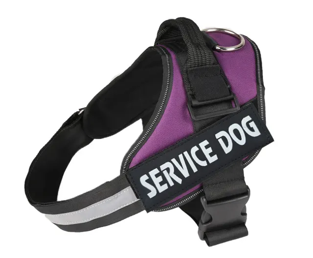 Pet chest strap with dog leash Purple - Shop at LoveMi
