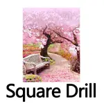 Square