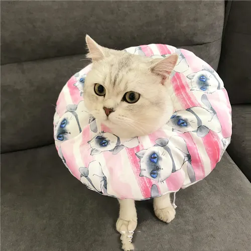 Anti scratch Headgear Tsundere Cat Pink - Shop at LoveMi