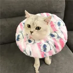 Tsundere Cat Pink