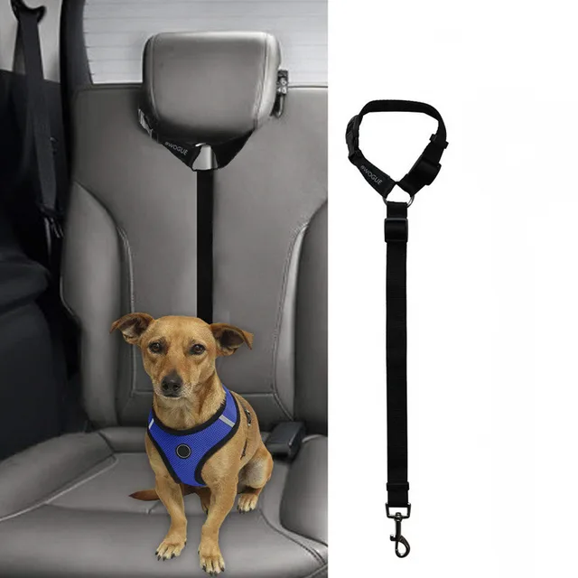 Car Backseat Pet Leash for stability Black - Shop at LoveMi
