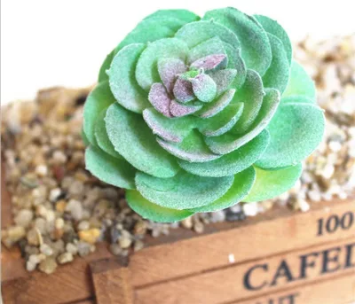 Simulation Of Succulent Bonsai Simulation Garden Decoration Ornaments 120Style - Shop at LoveMi