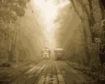 A1A
