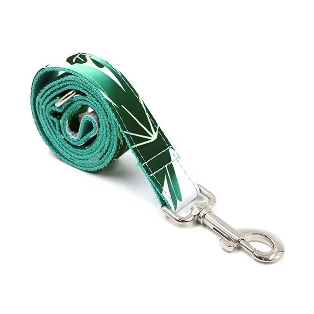 Pet Collar Traction Set Dog Collar Traction Belt Dog Rope Walking Set Green - Shop at LoveMi