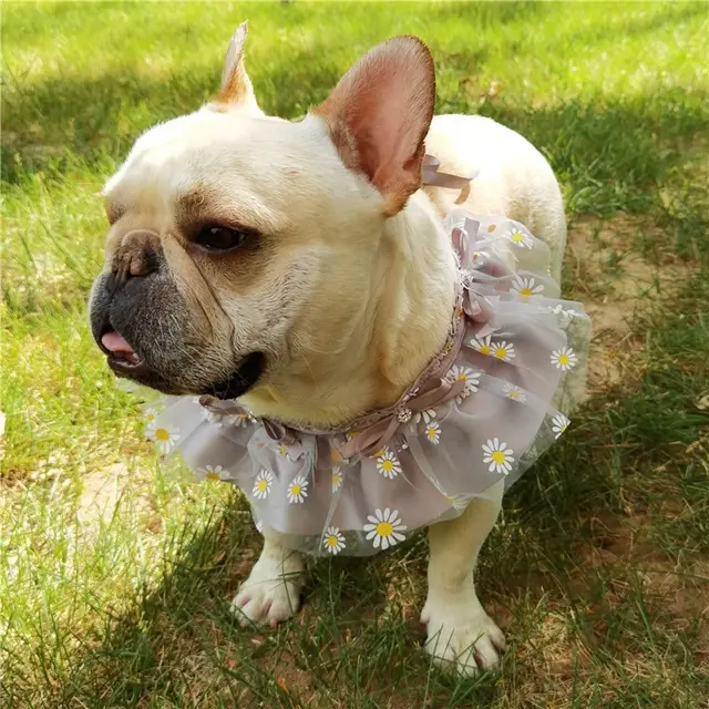 Little Daisy Pet Saliva Towel Pitbull Teddy Bichon Skirt Dog Bib Grey - Shop at LoveMi