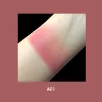 A01