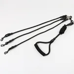 Dog Leashes