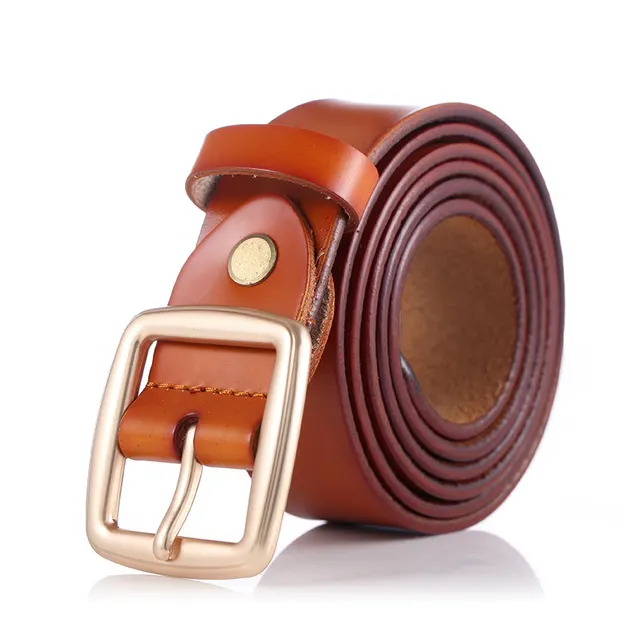 Imitation Copper Buckle Pin Buckle Trouser Belt Korean Style Brown - Shop at LoveMi