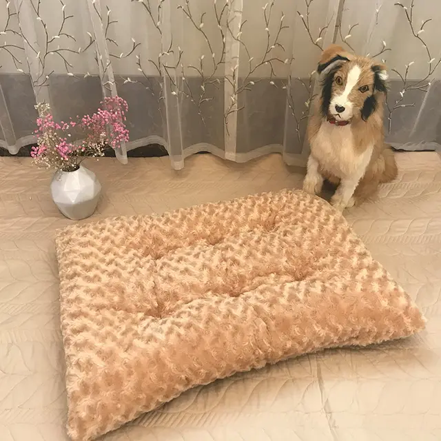 Rose Plush Pet Mat Plush Cat And Dog Mat Apricot - Shop at LoveMi