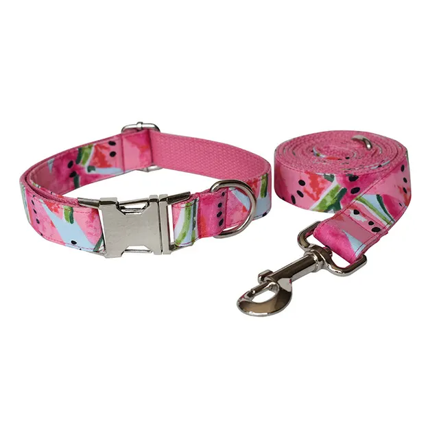 Watermelon Pet Supplies Dog Collar Pet Leash Set Meal - Shop at LoveMi