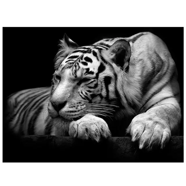 Manluo Foreign Trade's Popular Modern Art Animal Picture White Tiger Poster Print Decoration Core 3Style - Shop at LoveMi