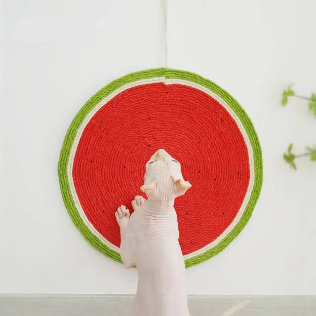 Creative Wall Mounted Watermelon Cat Scratching Board Toy Watermelon - Shop at LoveMi