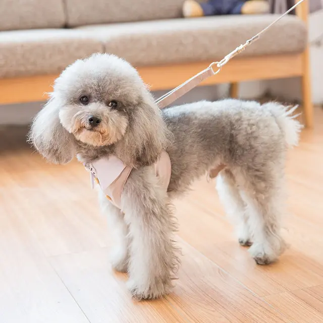 New Bow Tie Button Dog Vest Traction Rope Khaki - Shop at LoveMi