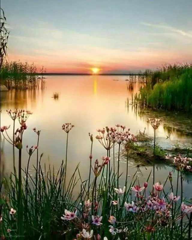 5D DIY Diamond Painting Landscape Sunset Kit Full Drill Square Embroidery Zs1230 - Shop at LoveMi