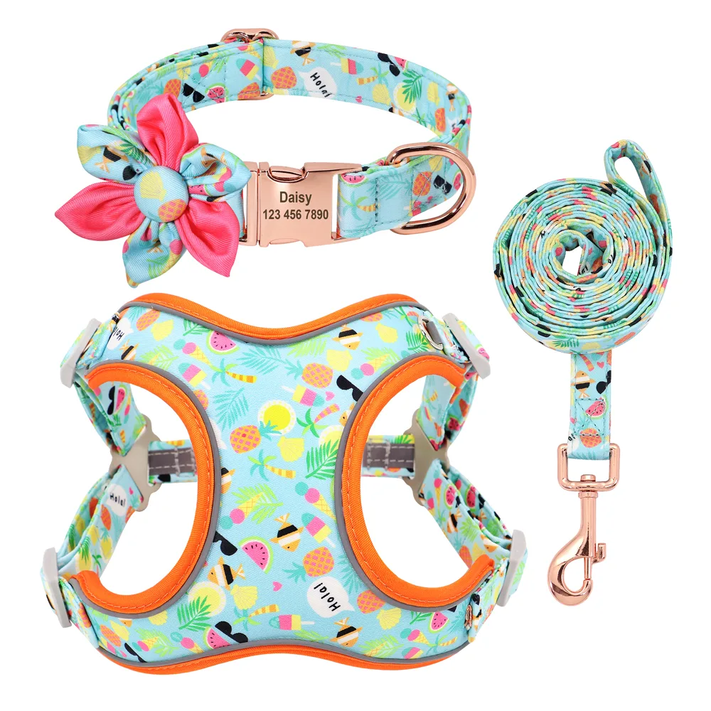 Dog Leash Small Dog Teddy Corgi Supplies Collar Green - Shop at LoveMi