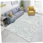 Thickened Washable 60X90Cm