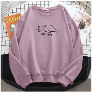 Spring And Autumn Thin Women's Hooded Sweater New Loose - Rose Red