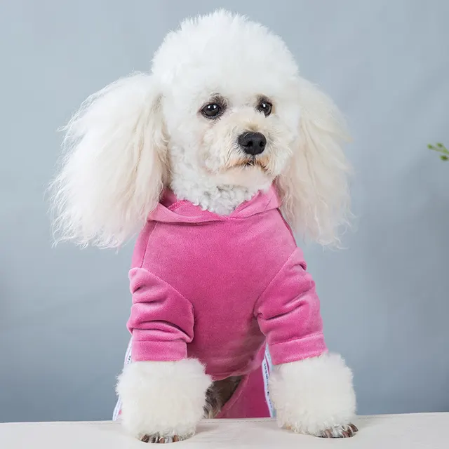 Casual Clothes Teddy Clothes One piece Pet Four legged Clothes Pink - Shop at LoveMi