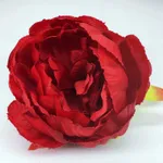 Big Red