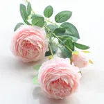 Flesh Pink