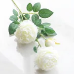 Milky White