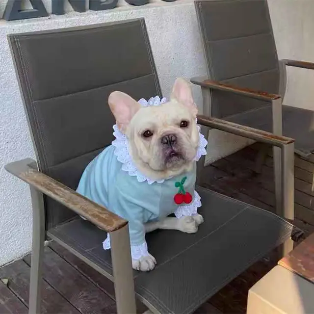 Cherry Lace Housewear Cotton High Elastic Fabric Chenery Light Blue - Shop at LoveMi