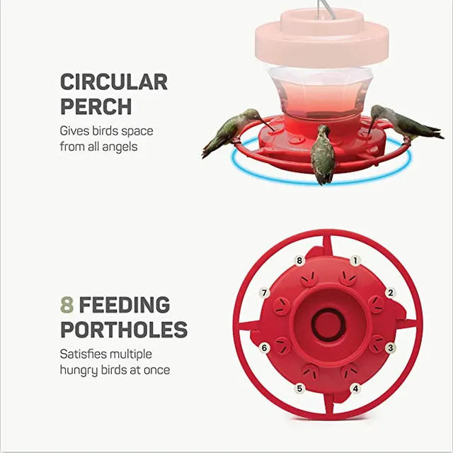 Feeder Bird Water Drinker Feeder Waterer Red - Shop at LoveMi