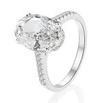 Platinum Main Ring