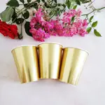 Bronzing Paper Cup