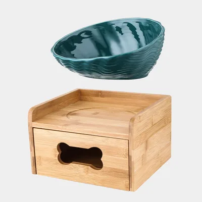 Ceramic neck cat bowl with oblique mouth Green With Shelf - Shop at LoveMi