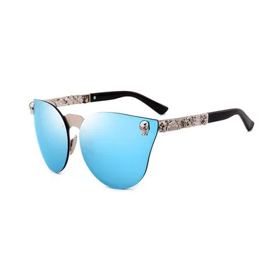 Gothic PC Men's Skull Head Decorated Sunglasses, Exquisite Metal Pattern Feet Sunglasses, Women Blue - Shop at LoveMi