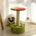 Tomato Cat Upgrade