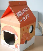 Orange House