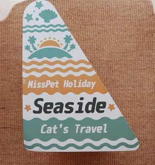Milk Carton Cat Scratcher Cat Toy Corrugated Paper - Seaside Holiday