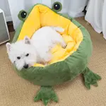 Little Frog